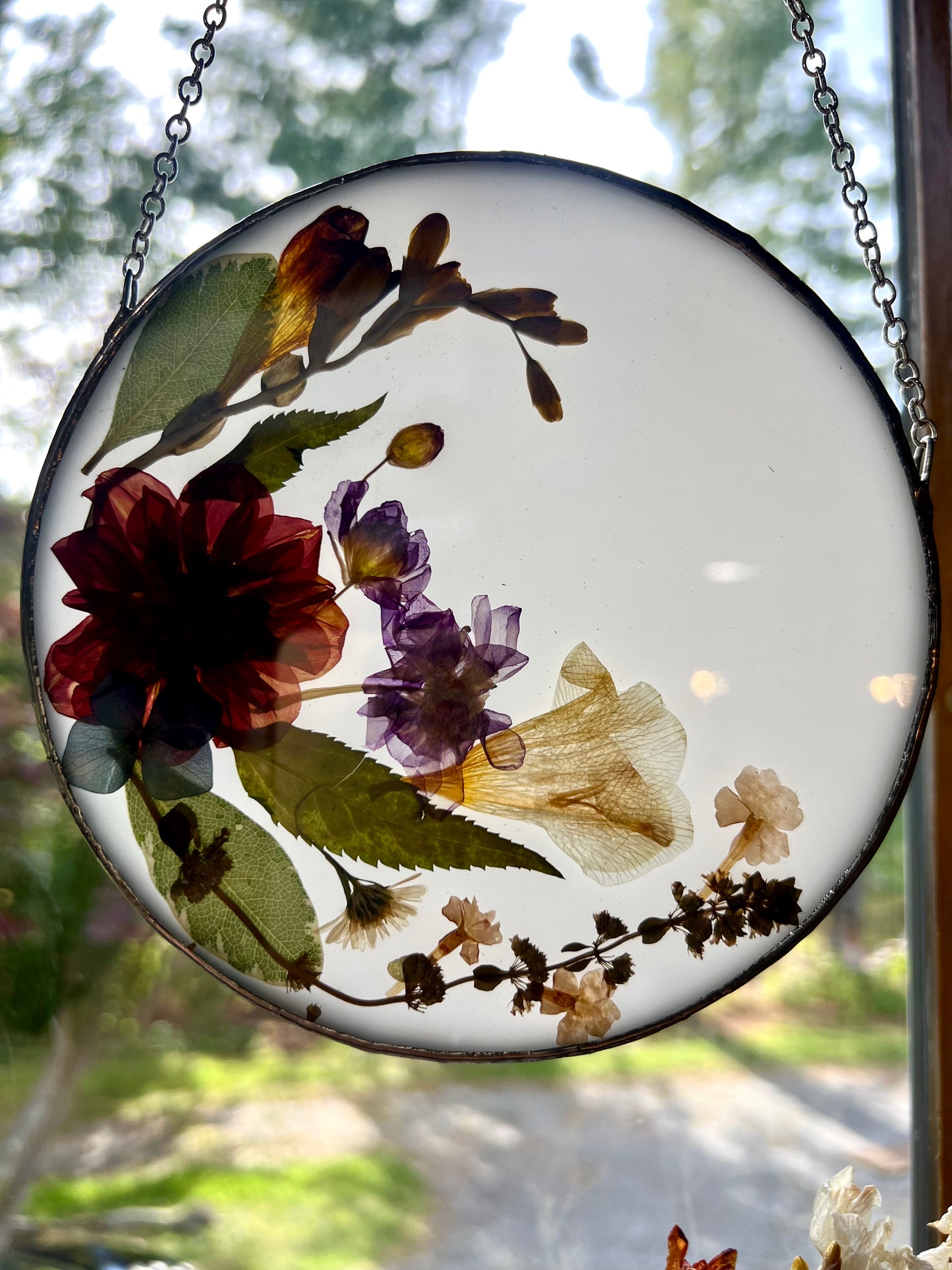 Round Pressed Flower Panel