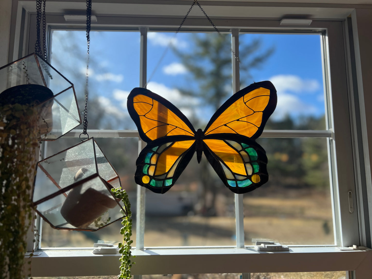 Large Monarch Butterfly