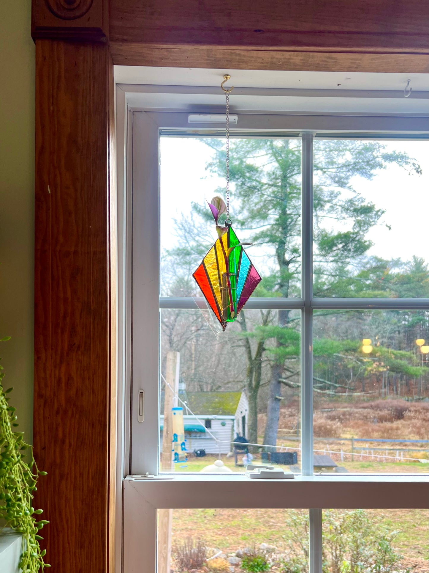 Rainbow Drip Propagation Hanger