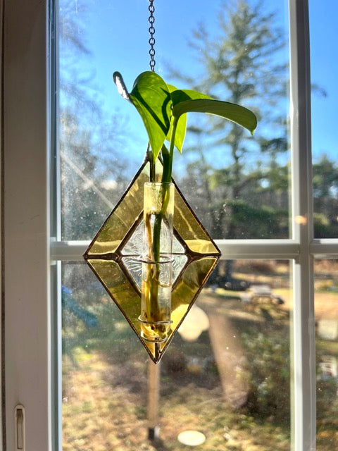 Plant Propagation Hanger