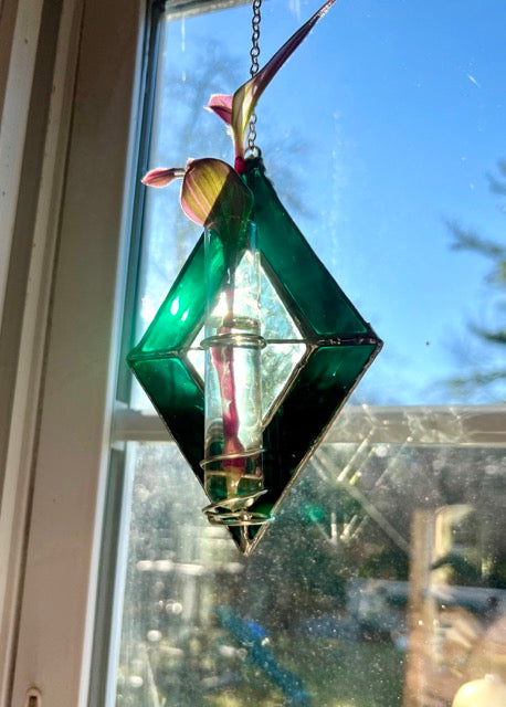 Plant Propagation Hanger