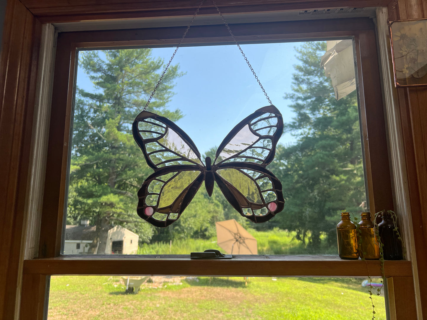 Large Monarch Butterfly