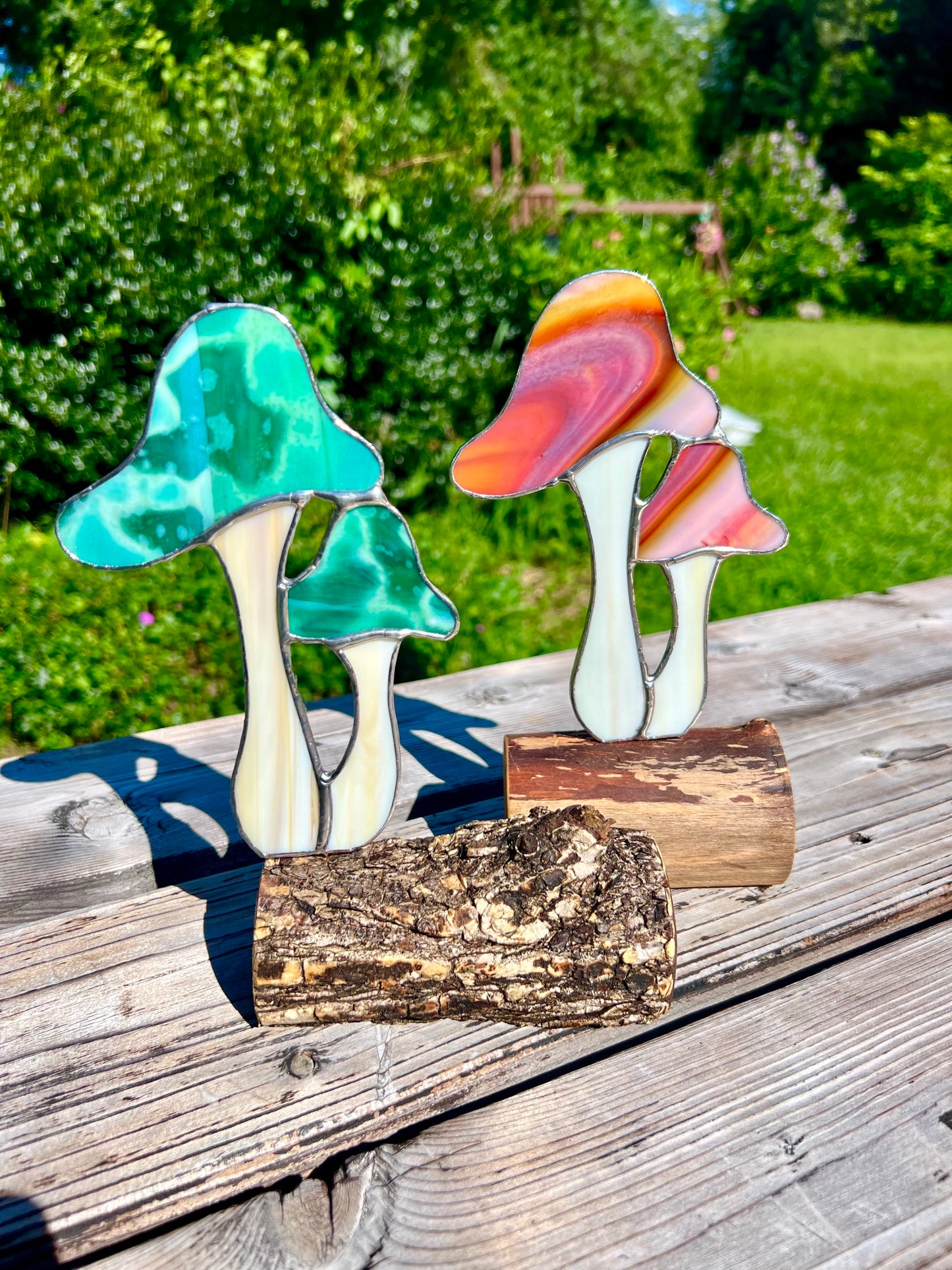 Mushroom Workshop at Arts Collab Medford